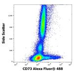 CD73 Antibody in Flow Cytometry (Flow)