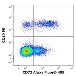 CD73 Antibody in Flow Cytometry (Flow)