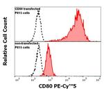 CD80 Antibody in Flow Cytometry (Flow)