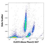 CLIC5 Antibody in Flow Cytometry (Flow)