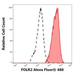 FOLR2 Monoclonal Antibody (EM-35), Alexa Fluor™ 488