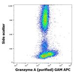 Granzyme A Antibody in Flow Cytometry (Flow)