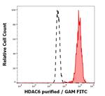 HDAC6 Antibody in Flow Cytometry (Flow)