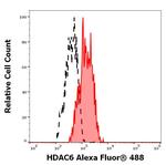 HDAC6 Monoclonal Antibody (236), Alexa Fluor™ 488