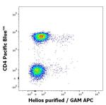 HELIOS Monoclonal Antibody (22F6)