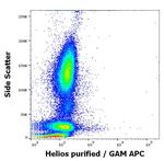 HELIOS Antibody in Flow Cytometry (Flow)