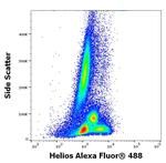 HELIOS Antibody in Flow Cytometry (Flow)