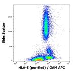 HLA-E Antibody in Flow Cytometry (Flow)