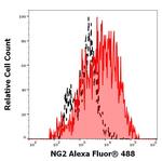 NG2 Antibody in Flow Cytometry (Flow)
