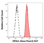 WBP1L Monoclonal Antibody (OPAL1-01), Alexa Fluor™ 647
