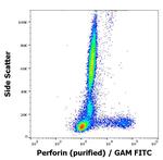 Perforin Antibody in Flow Cytometry (Flow)