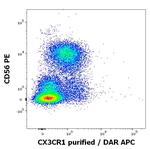 CX3CR1 Antibody in Flow Cytometry (Flow)