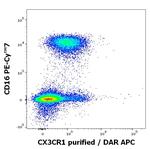 CX3CR1 Antibody in Flow Cytometry (Flow)