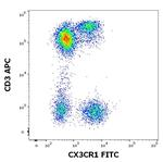 CX3CR1 Antibody in Flow Cytometry (Flow)