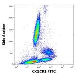CX3CR1 Antibody in Flow Cytometry (Flow)