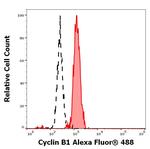 Cyclin B1 Monoclonal Antibody (V152), Alexa Fluor™ 488
