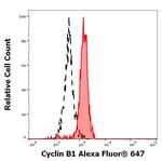 Cyclin B1 Monoclonal Antibody (V152), Alexa Fluor™ 647