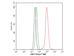 USF1 Antibody in Flow Cytometry (Flow)