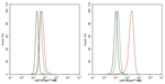 LAT Antibody in Flow Cytometry (Flow)