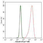 COL5A1 Antibody in Flow Cytometry (Flow)