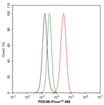 PDE4B Antibody in Flow Cytometry (Flow)