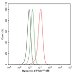 Dynactin 1 Antibody in Flow Cytometry (Flow)