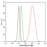 MYH9 Antibody in Flow Cytometry (Flow)