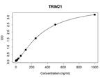 TRIM21 Antibody in ELISA (ELISA)