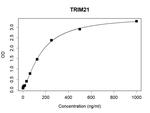 TRIM21 Antibody in ELISA (ELISA)