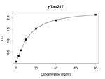 Phospho-Tau (Thr217) Antibody in ELISA (ELISA)