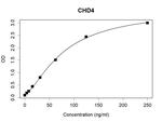 CHD4 Antibody in ELISA (ELISA)