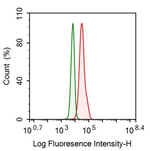 IDO1 Antibody in Flow Cytometry (Flow)