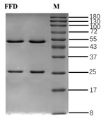 Fluofodifen Recombinant Mouse Monoclonal Antibody (2E8)