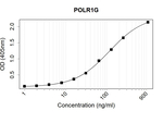 PAF49 Recombinant Human Monoclonal Antibody (K49006_6A11)