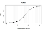RGMA Antibody in ELISA (ELISA)