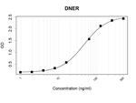 DNER Recombinant Mouse Monoclonal Antibody (K29080_20H10)