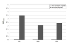 Phospho-Ezrin/Radixin/Moesin (Thr567, Thr564, Thr558) Antibody in ELISA (ELISA)