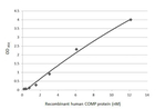 COMP Recombinant Rabbit Monoclonal Antibody (HL3215)
