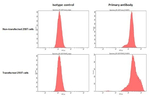 FSHR Antibody in Flow Cytometry (Flow)