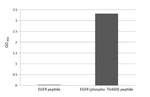 Phospho-EGFR (Thr669) Recombinant Rabbit Monoclonal Antibody (HL3265)