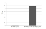 Phospho-PLCG2 (Tyr759) Antibody in ELISA (ELISA)
