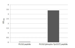 Phospho-PLCG2 (Tyr1217) Antibody in ELISA (ELISA)