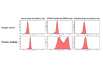PTH1R Antibody in Flow Cytometry (Flow)