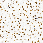 H3R8me2s Antibody in Immunohistochemistry (Paraffin) (IHC (P))