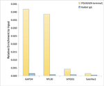 POLR2A Antibody in ChIP Assay (ChIP)