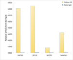 Histone H4 Antibody in ChIP Assay (ChIP)