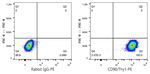 CD90 Antibody in Flow Cytometry (Flow)