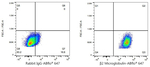 beta-2 Microglobulin Antibody in Flow Cytometry (Flow)