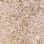 Synapsin 1 Antibody in Immunohistochemistry (Paraffin) (IHC (P))