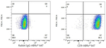 CD9 Antibody in Flow Cytometry (Flow)